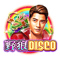 野狼Disco